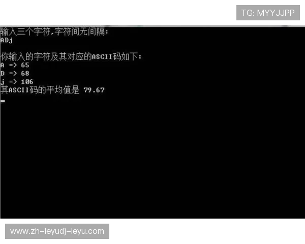 键盘上的角旗区:数字时代球迷互撕生态研究