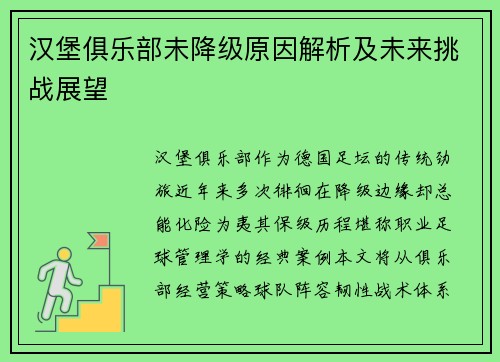 汉堡俱乐部未降级原因解析及未来挑战展望