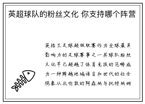 英超球队的粉丝文化 你支持哪个阵营